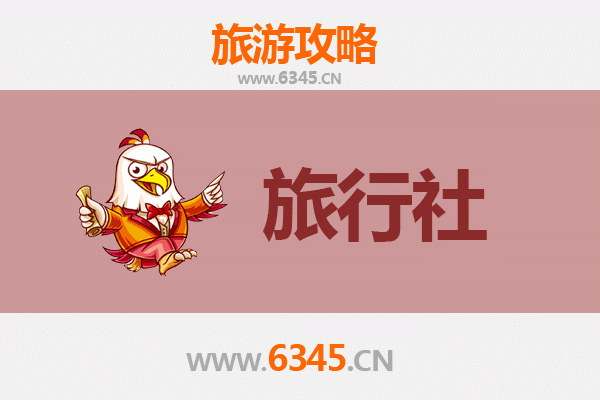 乌兰察布集宁本地旅行社推荐：草原火山之旅的专业向导